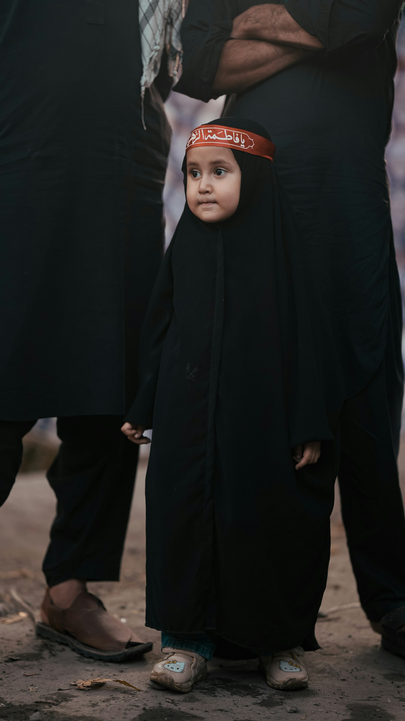 أضواء الجسور